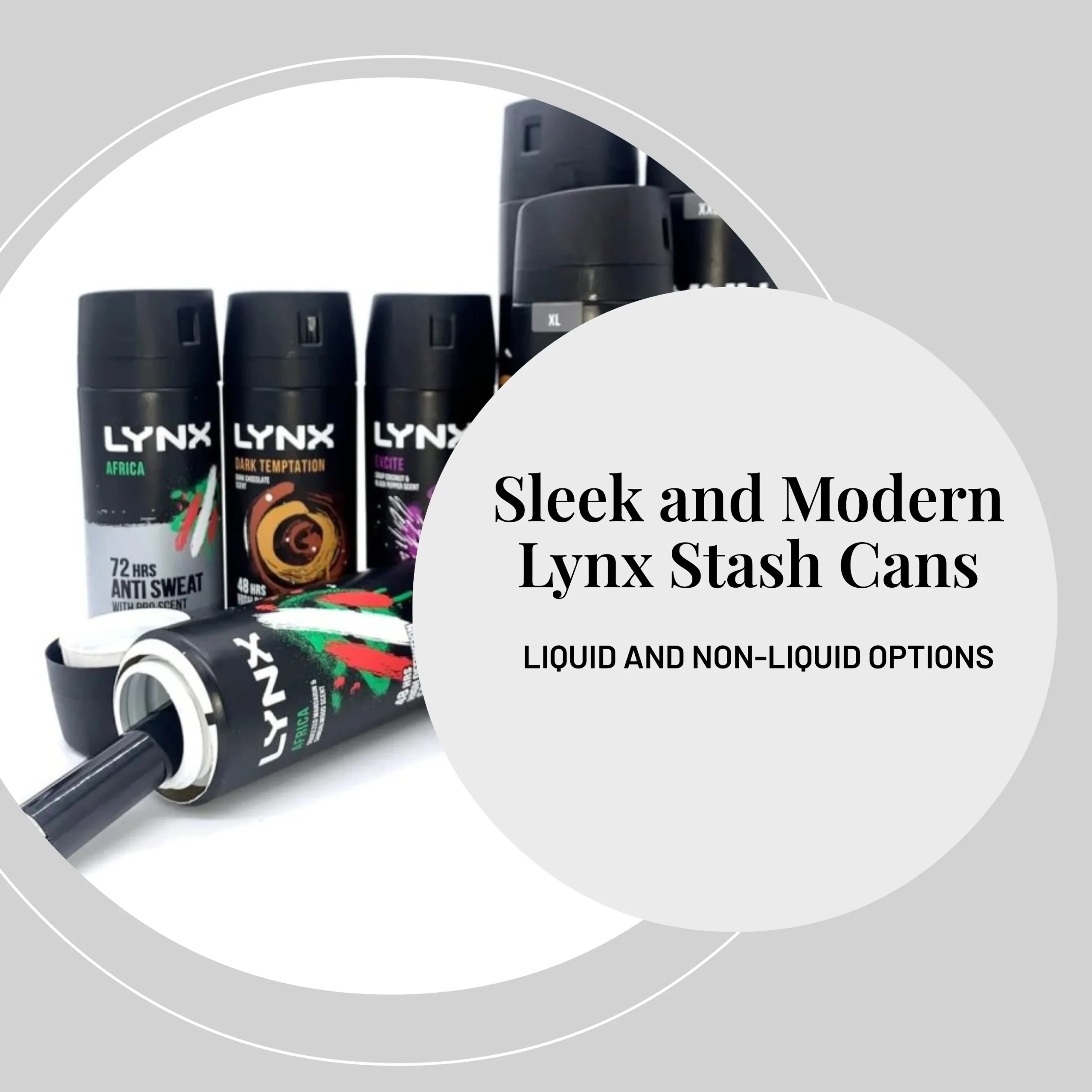 Lynx Deodorant Spray Safe Diversion Can